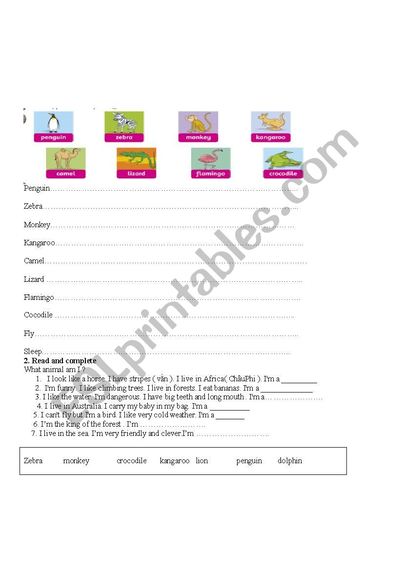 animal worksheet