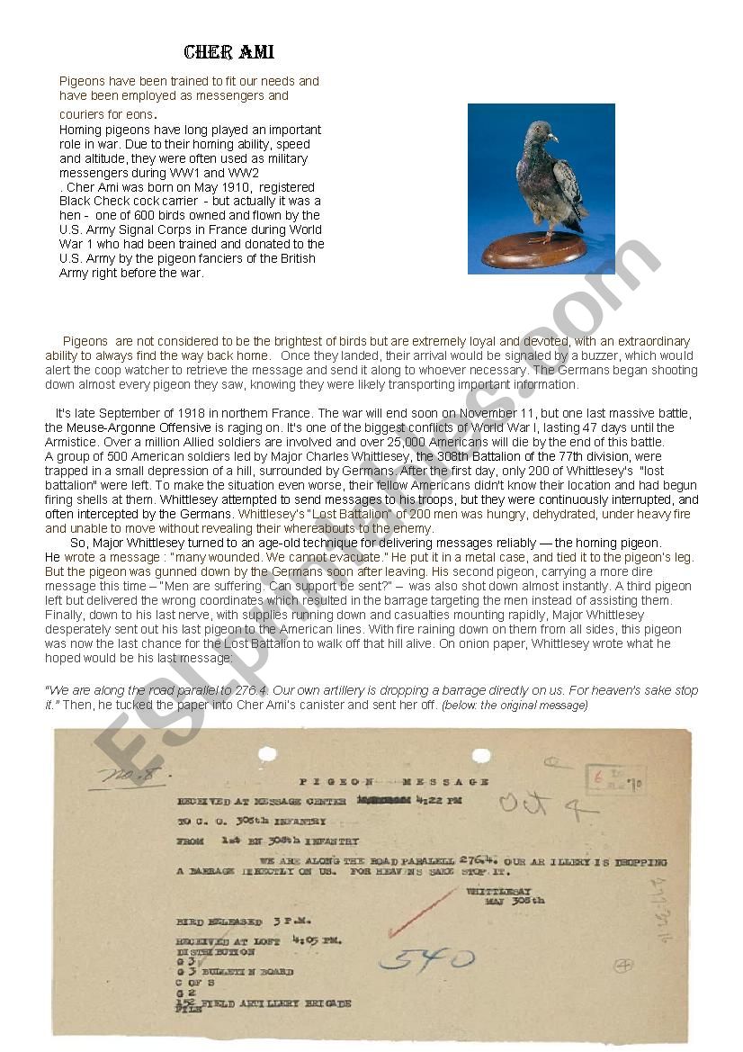 WAR ANIMALS part 2 CHER AMI  worksheet