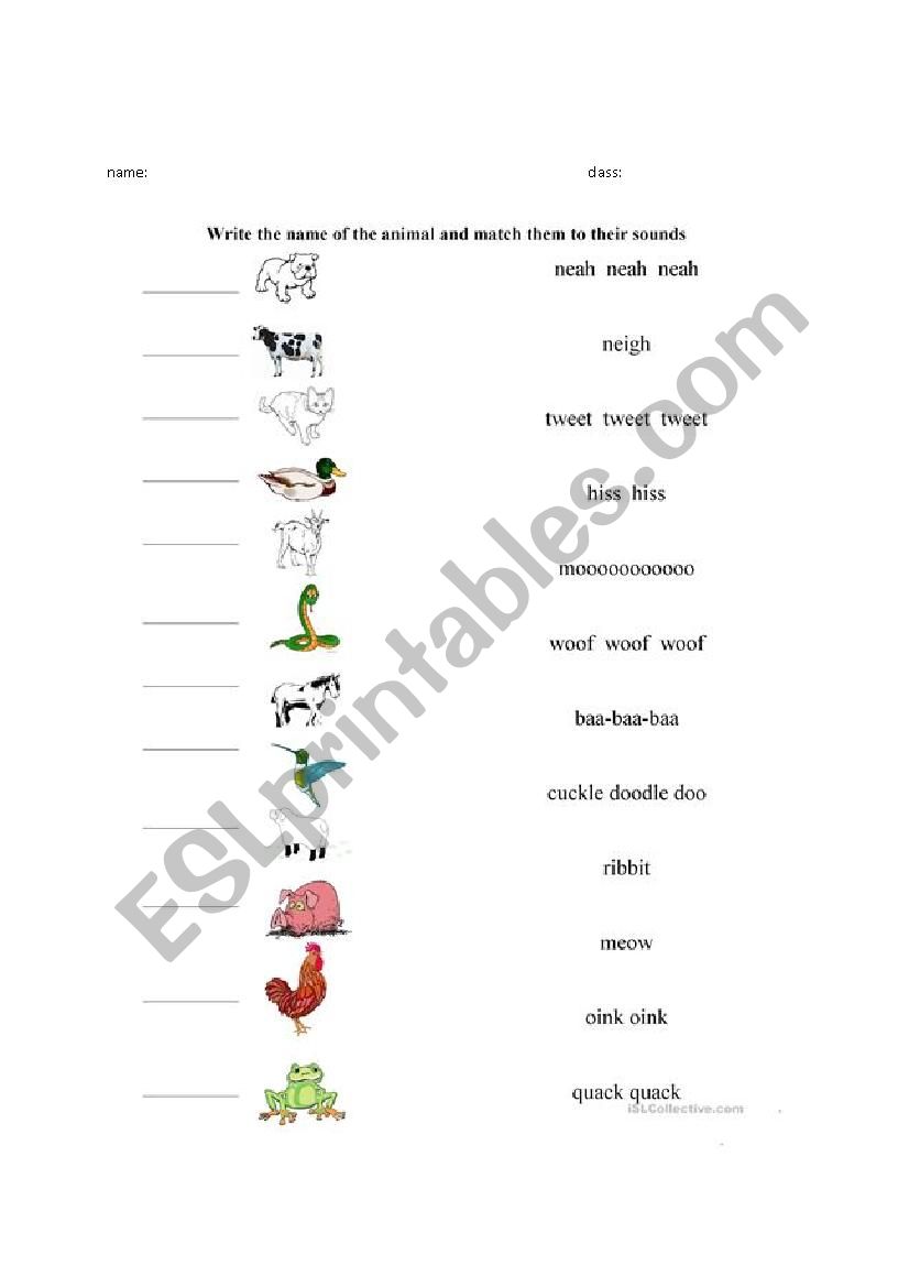 the sound of the animal worksheet
