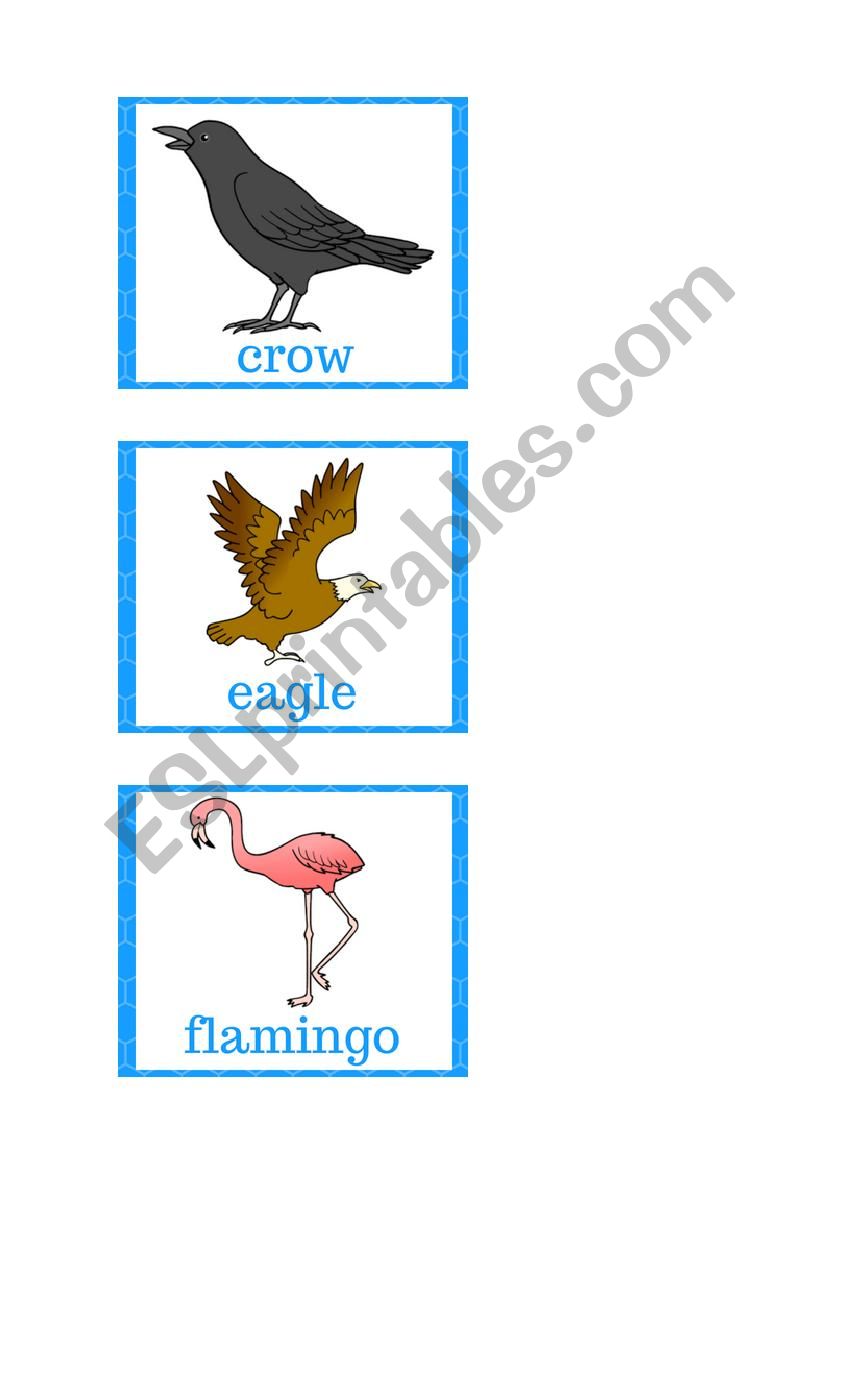 Flashcards - Birds 1 worksheet