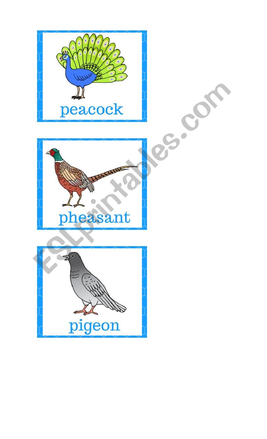 Flashcards - Birds 2 worksheet