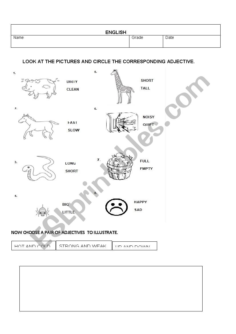 Adjectives worksheet