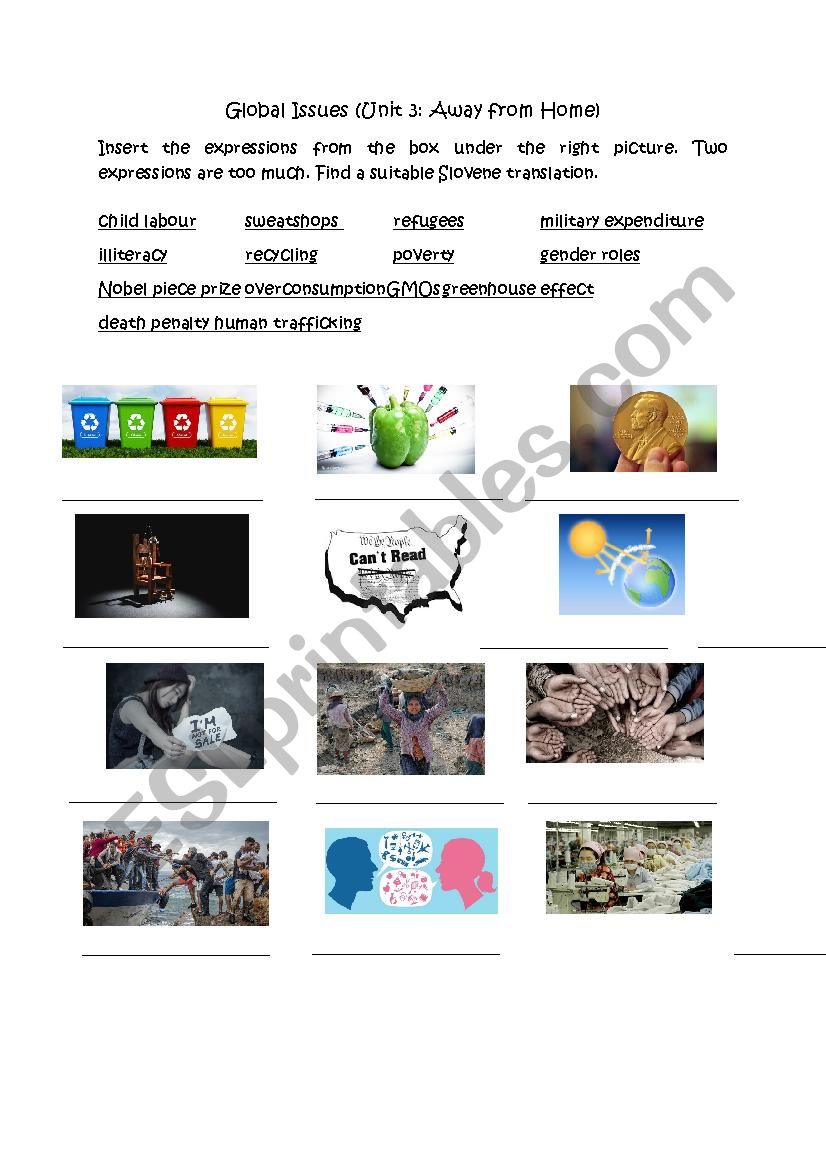 Global issues vocabulary  worksheet