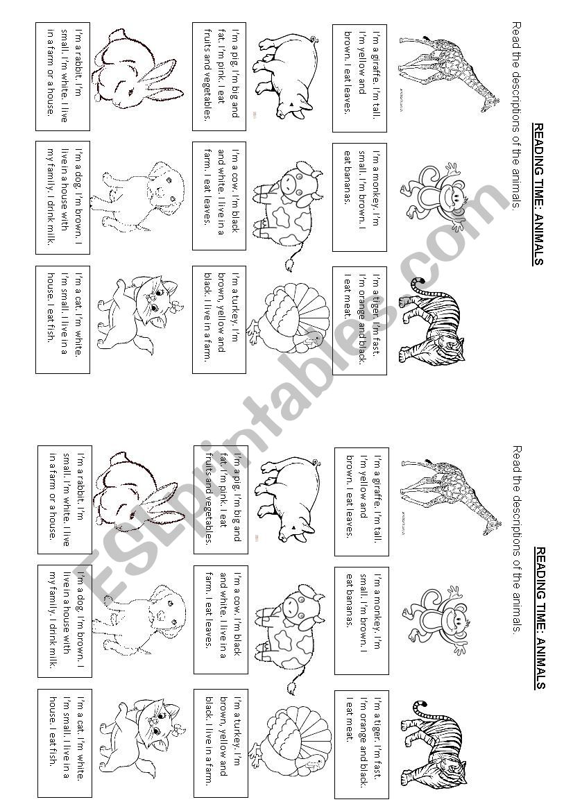 READING TIME: ANIMALS worksheet