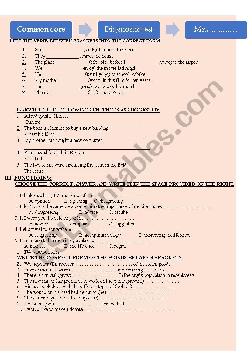 DIAGNOSTIC TEST worksheet