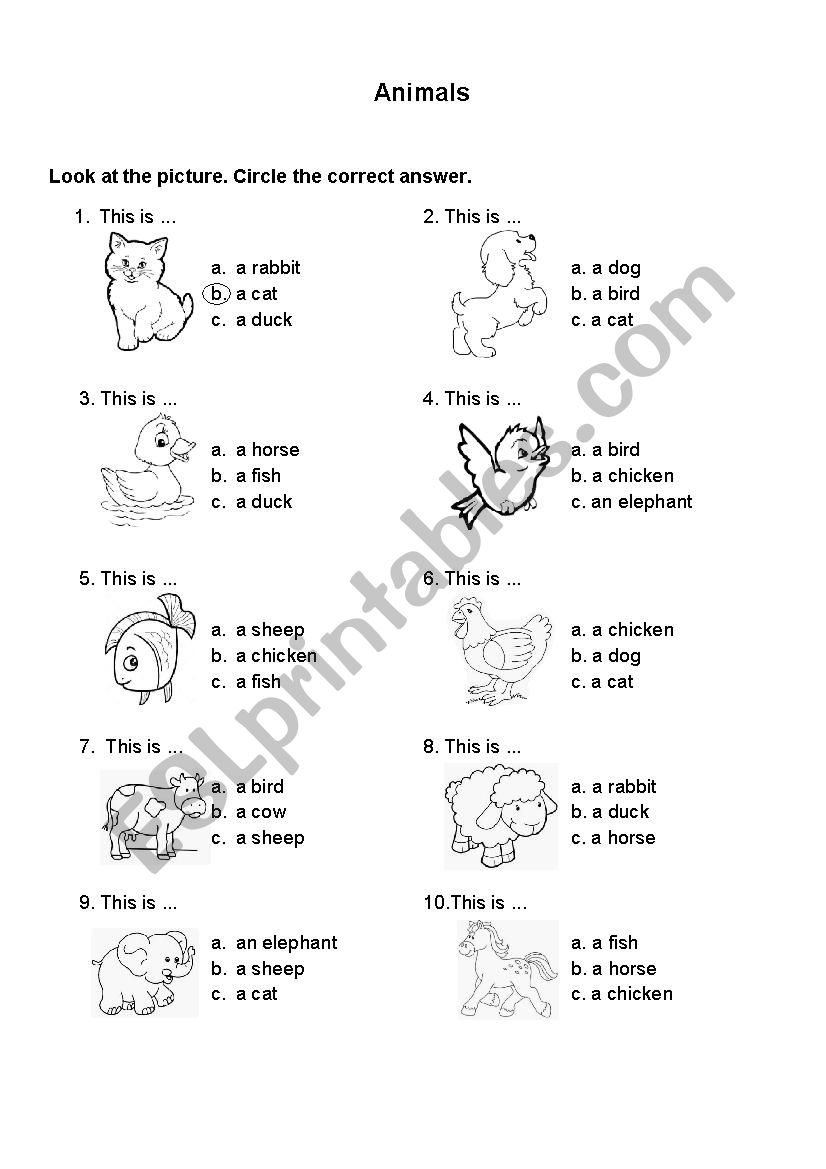 animals worksheet