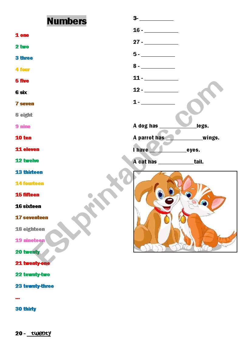 Numbers worksheet