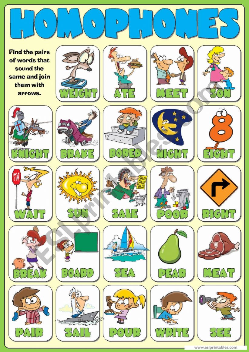 Homophones worksheet