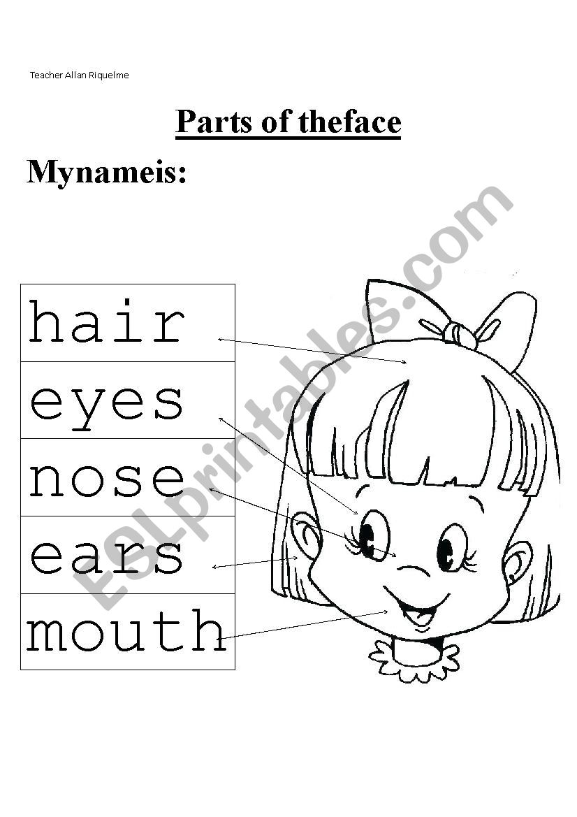 Parts of the face worksheet