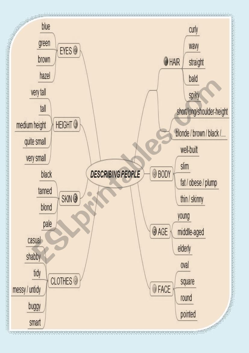 Describing people worksheet