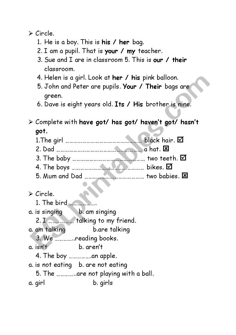 Grammar Drills worksheet