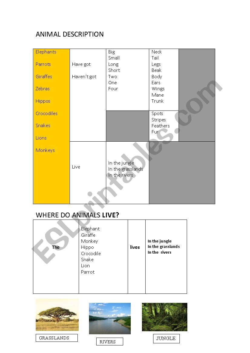 ANIMAL SCAFFOLDING worksheet