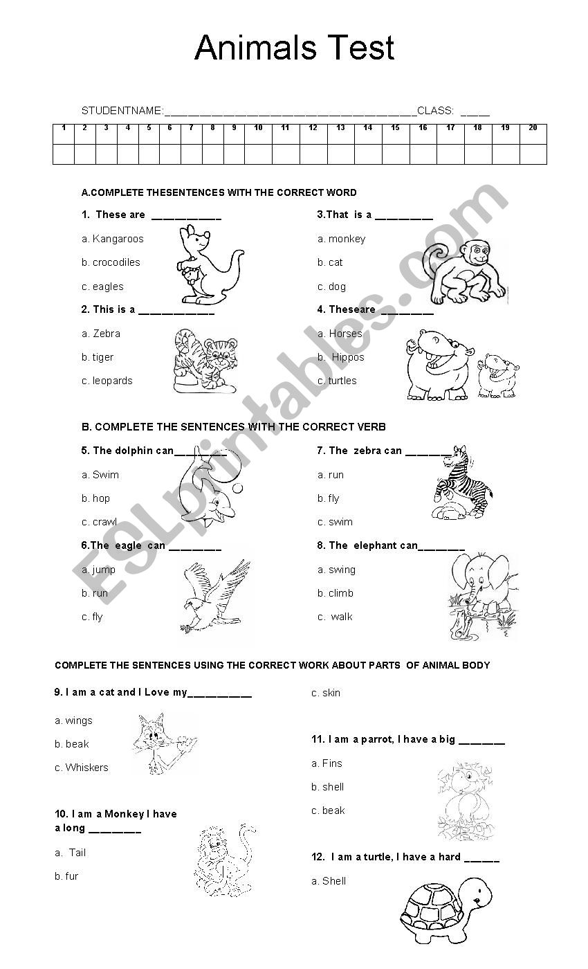 ANIMALS  worksheet