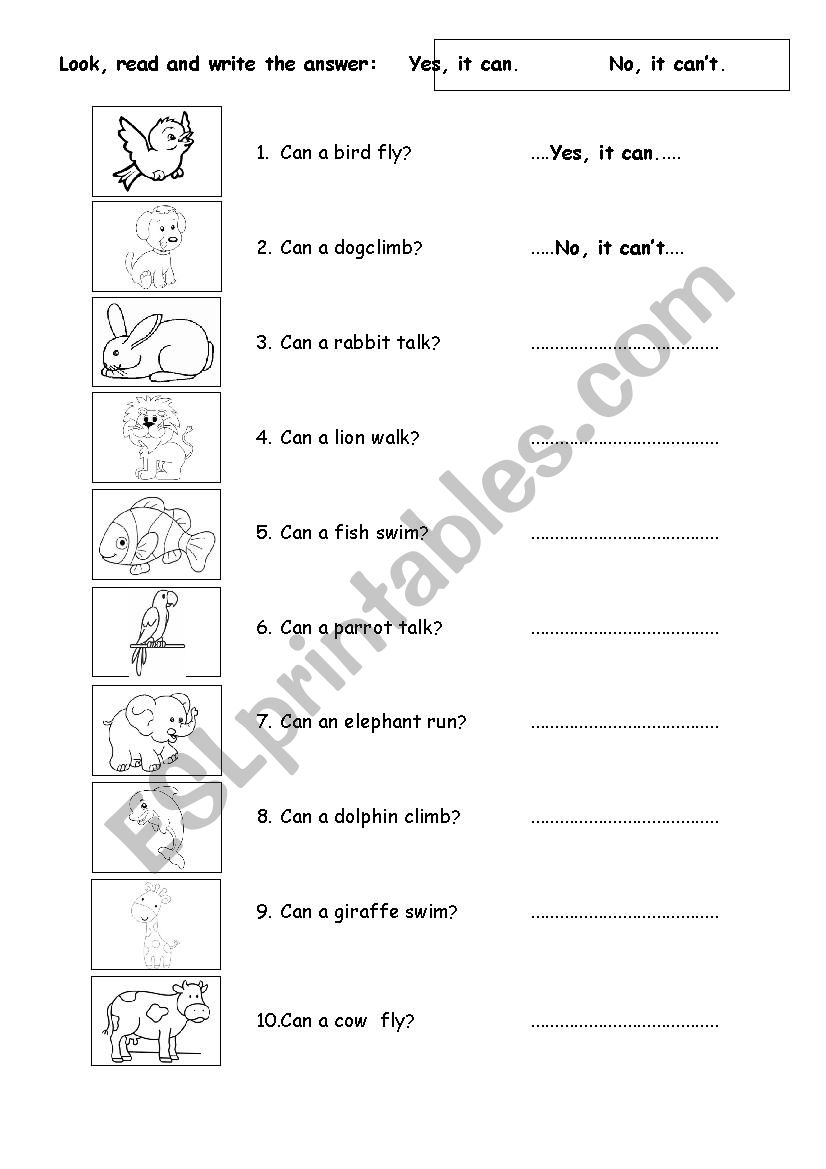 animals worksheet