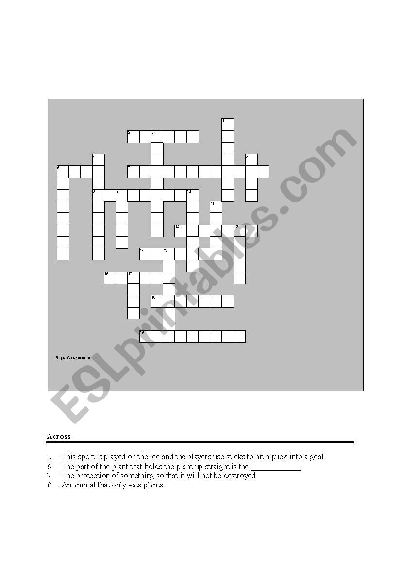 Crossword for Elementary  worksheet
