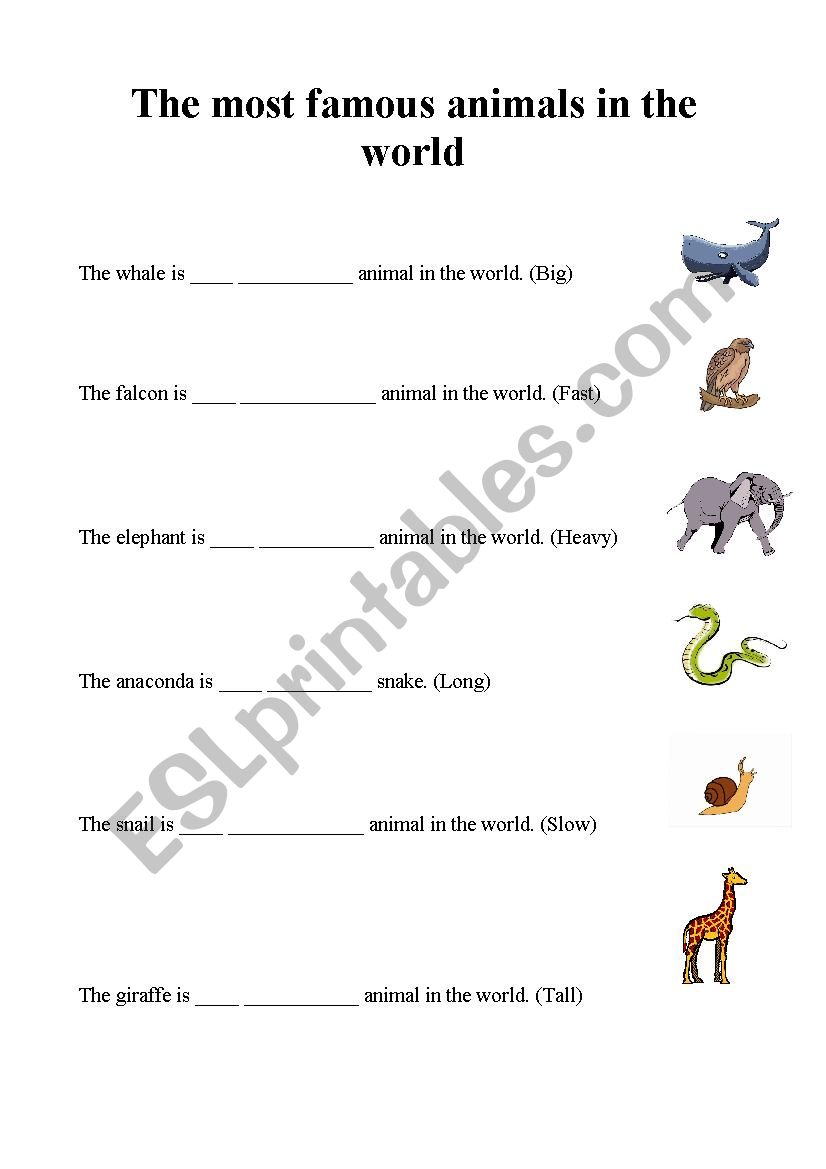 Comparatives and superlatives worksheet