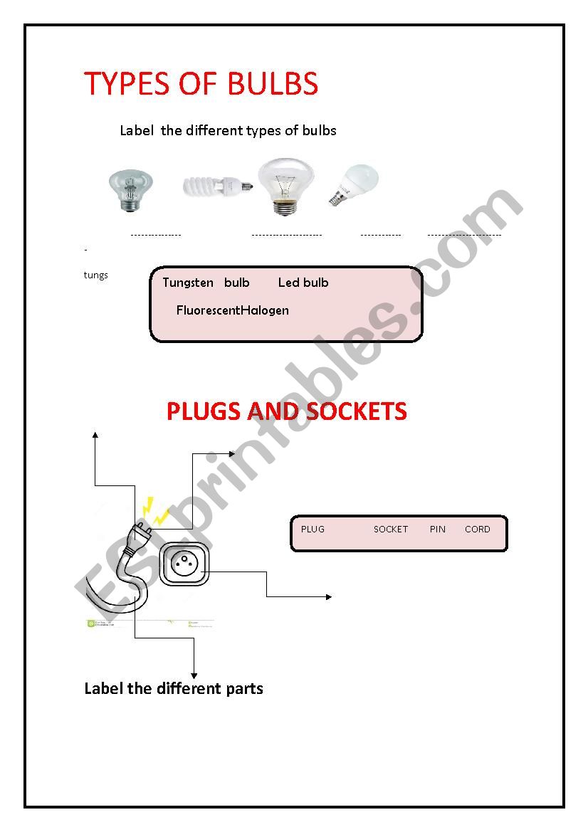 types of bulbs  worksheet