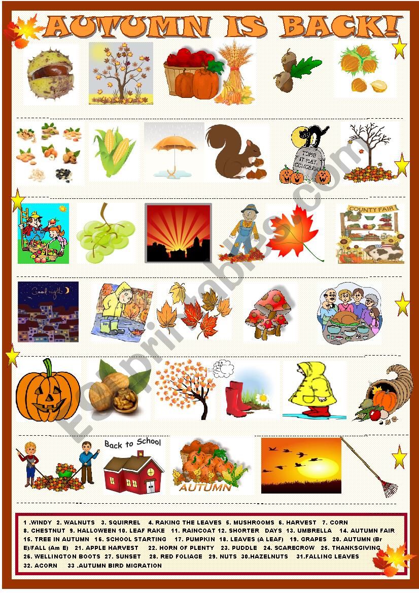  Autumn  is back matching  ESL worksheet  by spied d aignel
