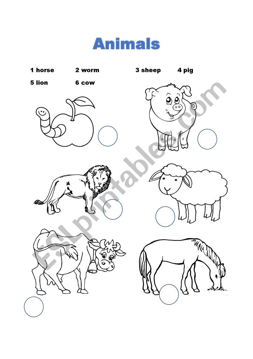 Animals worksheet