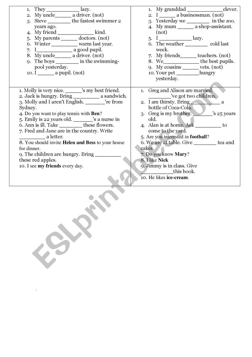 the ptonouns  worksheet