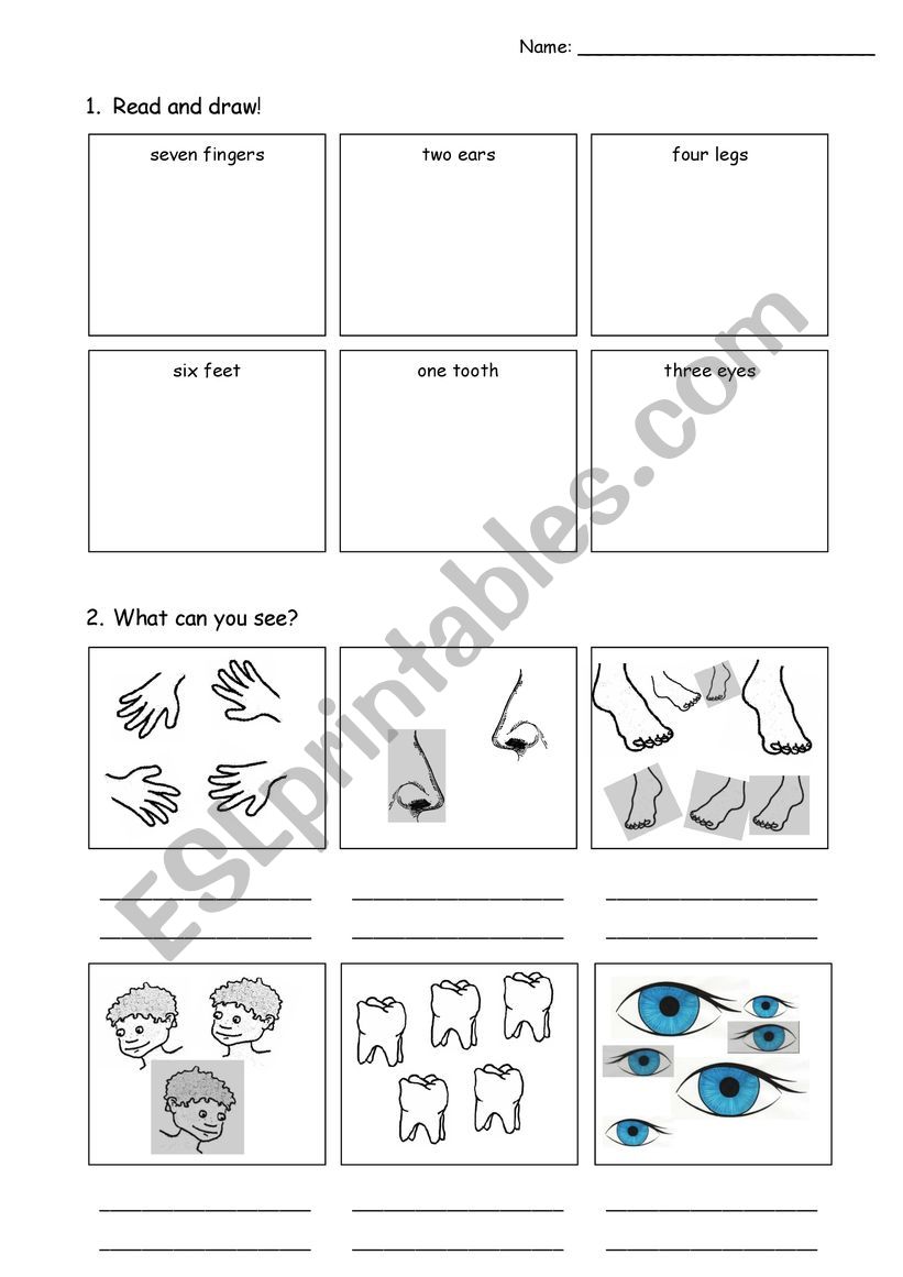 body-parts-singular-and-plural-esl-worksheet-by-klaerchen1985