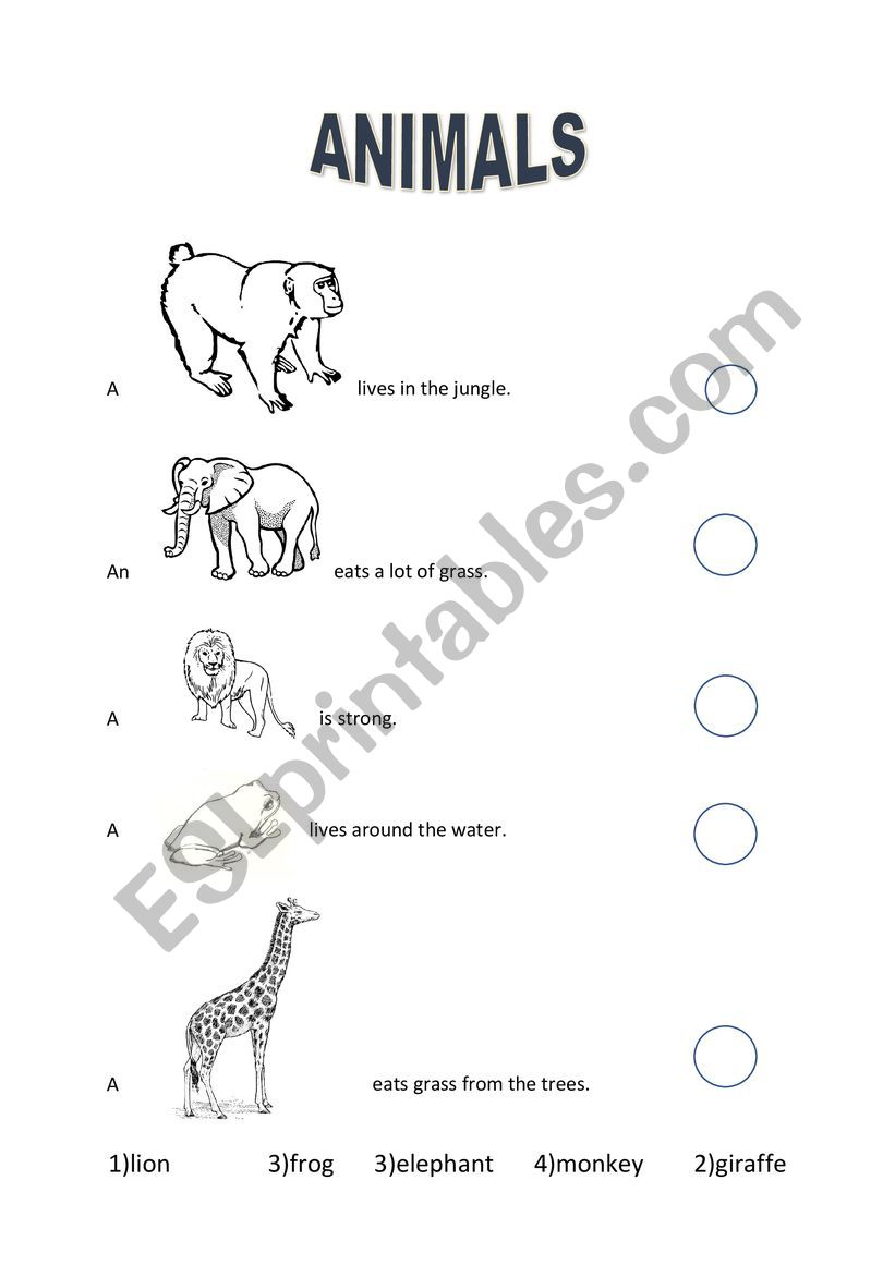 Number the Animals worksheet