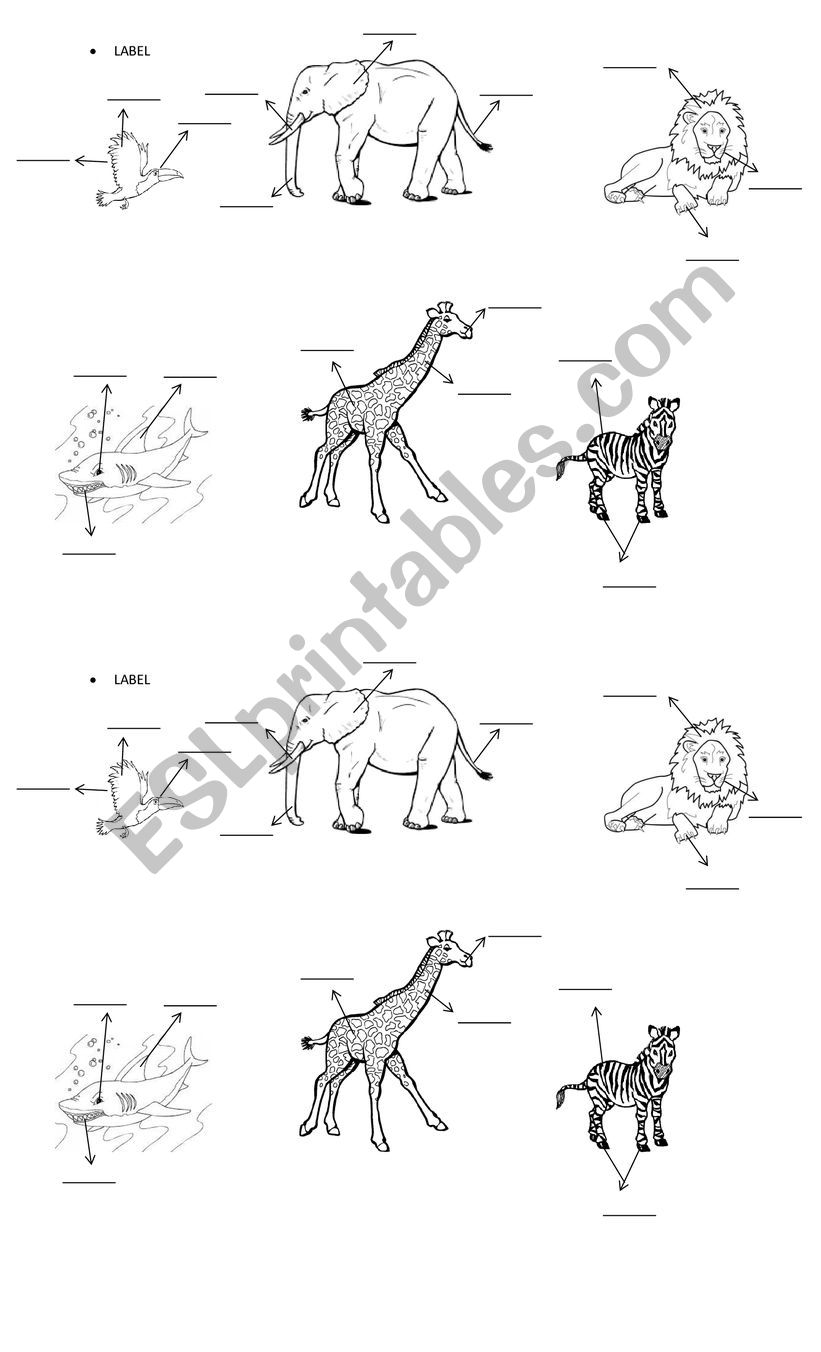 animals body parts worksheet