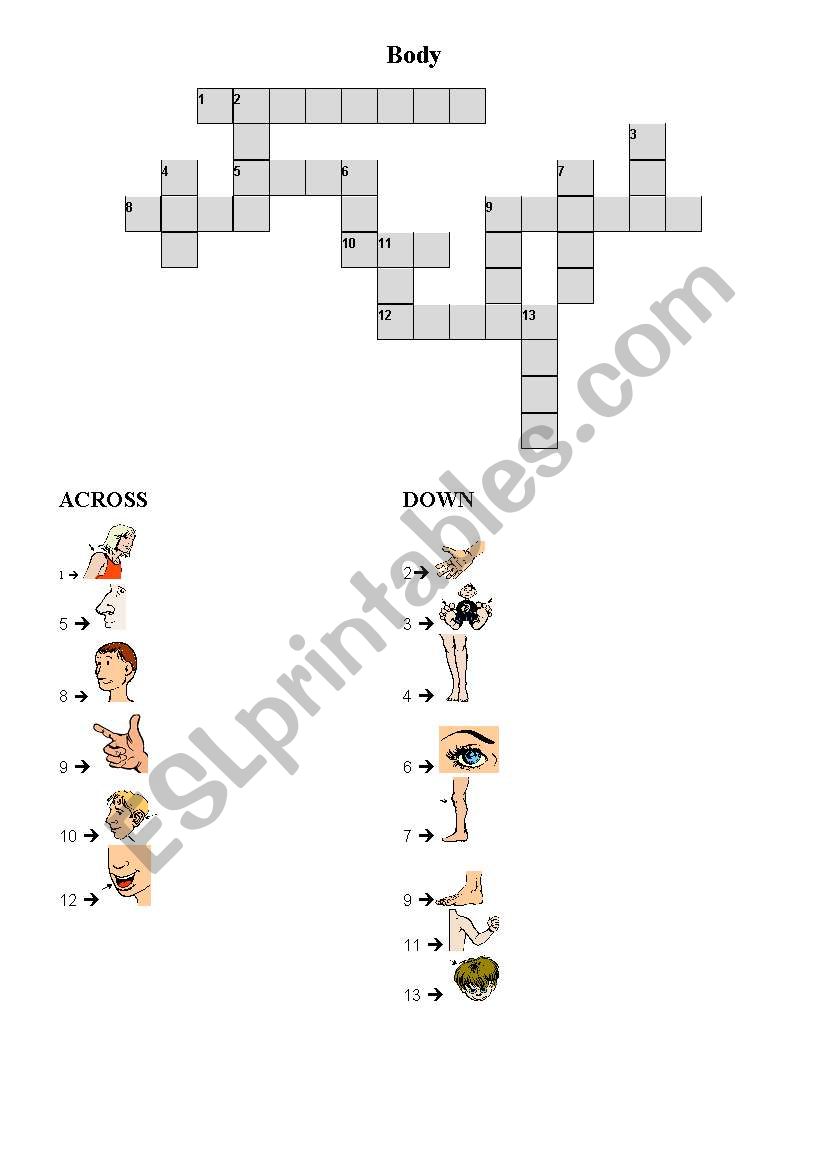 BODY - CROSSWORDS worksheet