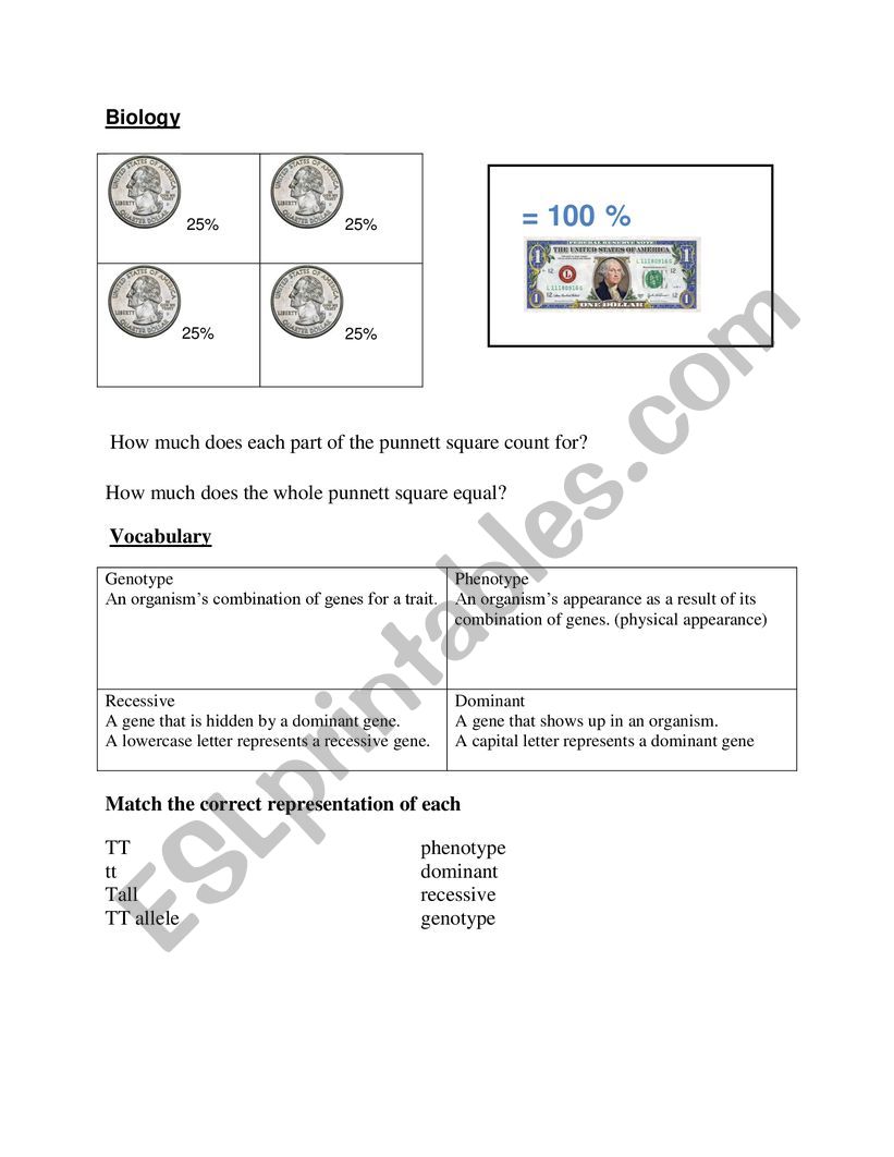 Biology Genetics Reference worksheet