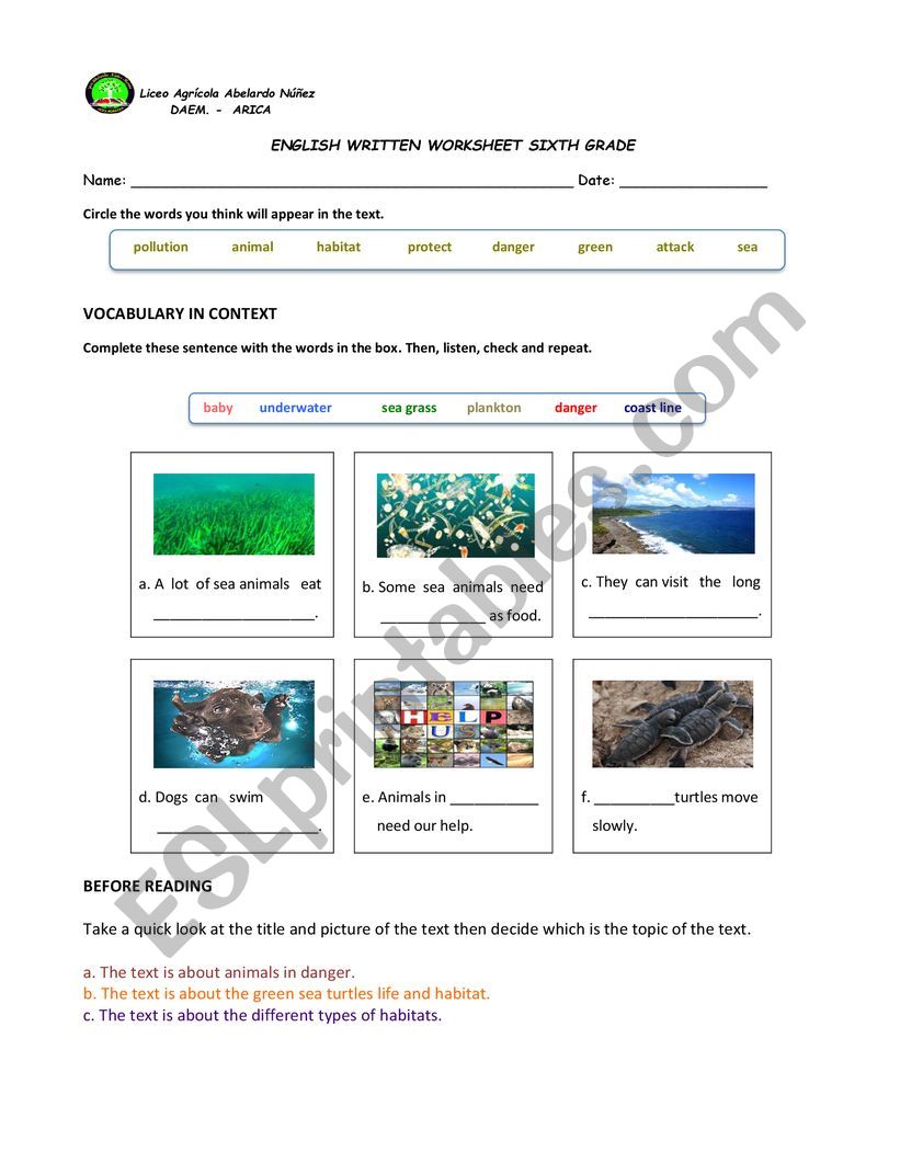 the green turtle worksheet