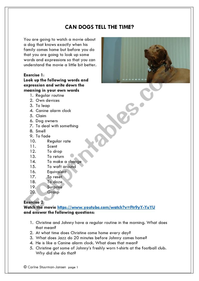 Can dogs tell the Time? worksheet