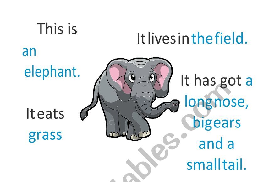 Animals worksheet
