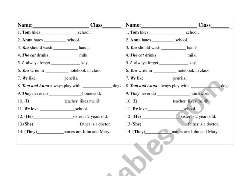 Possessive adjectives worksheet