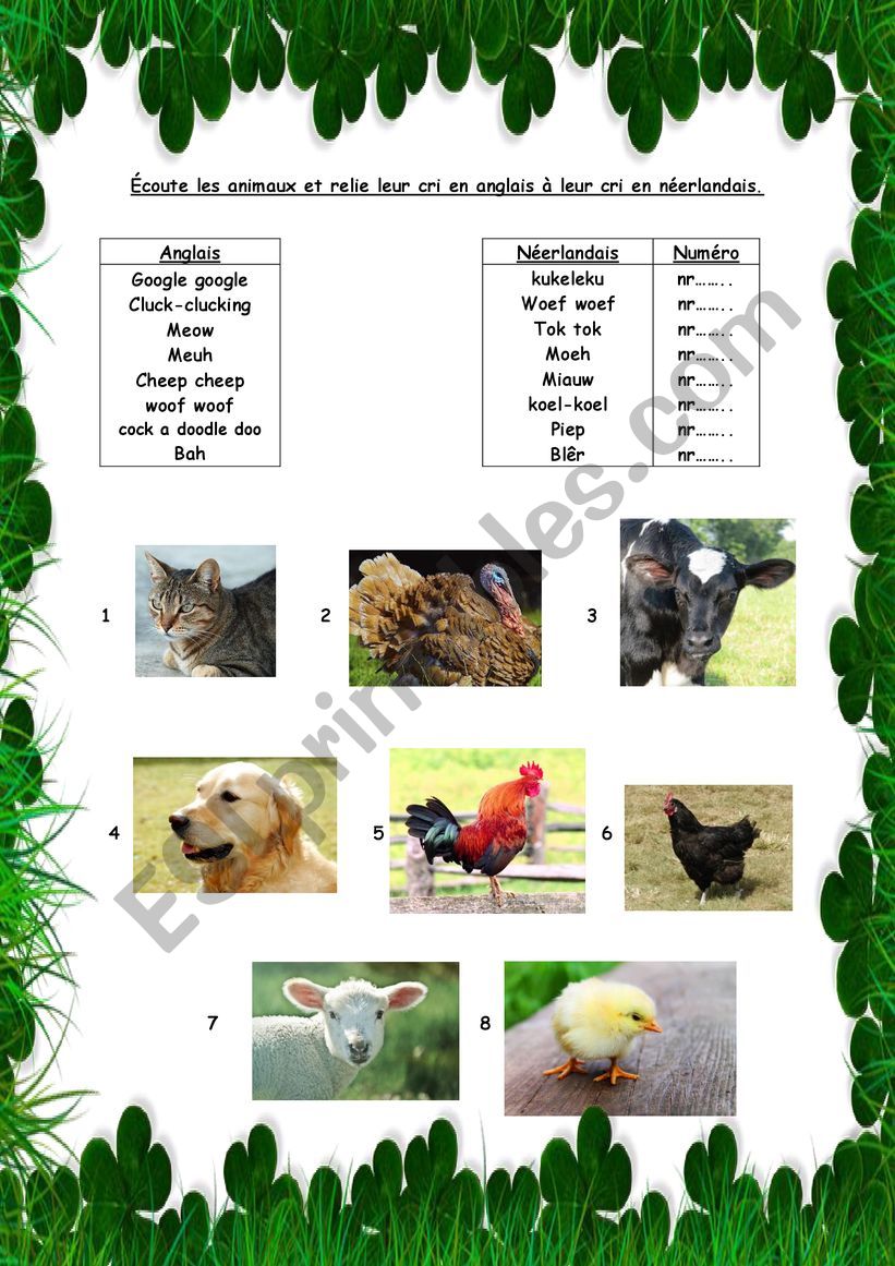 The animals worksheet