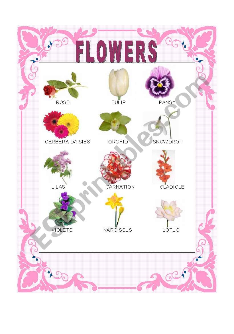 FLOWERS worksheet