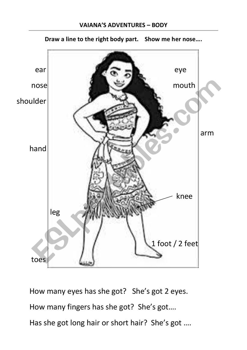 Vaiana (Moana) Label the body. 