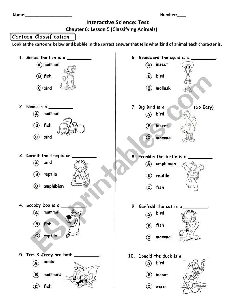 classification animal worksheet