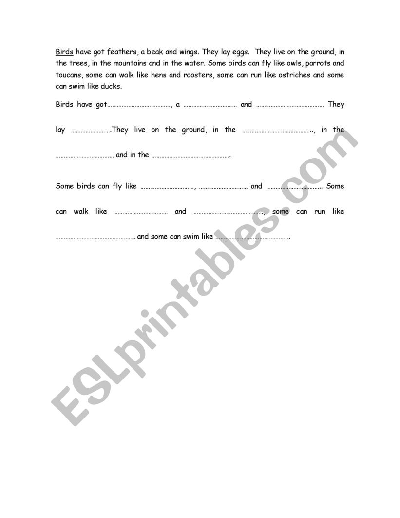 birds worksheet