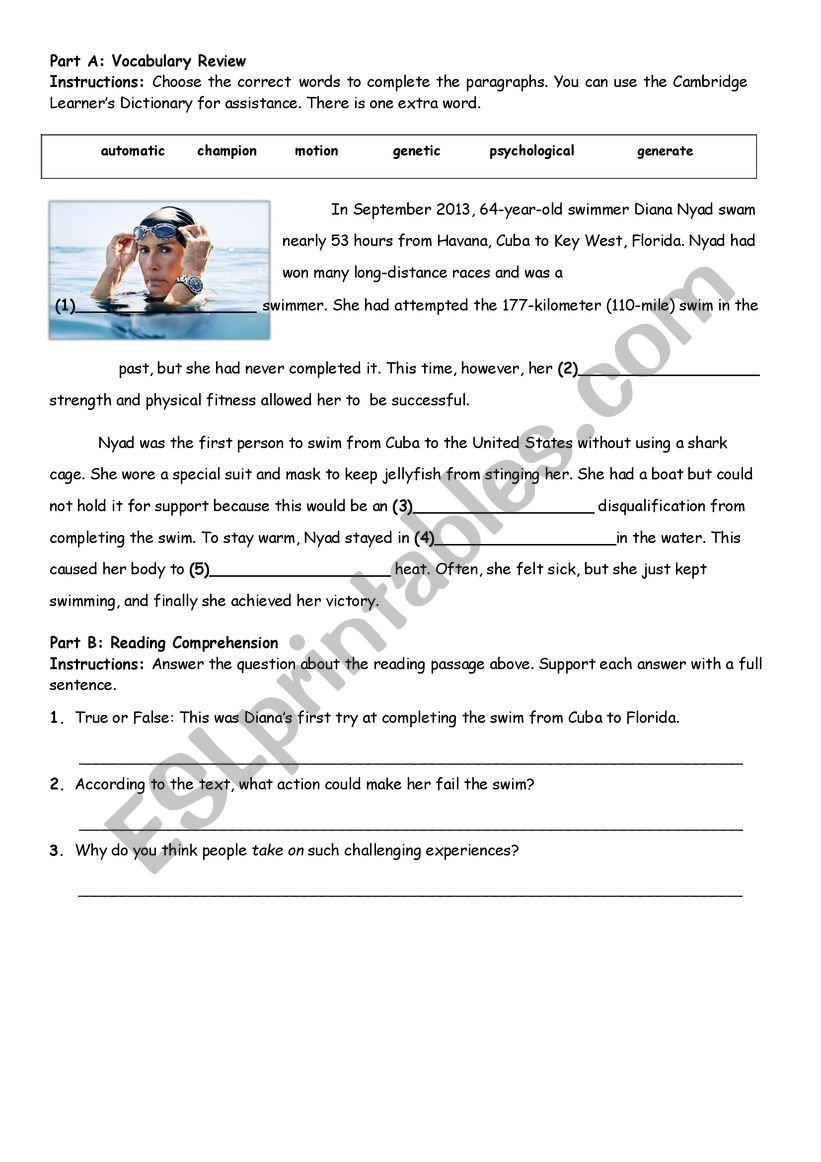 reading comprehension worksheet