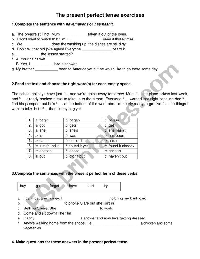 Present perfect worksheet