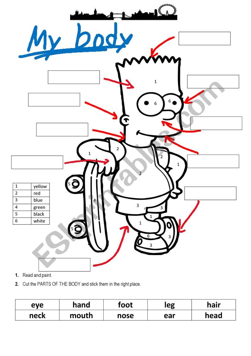 Parts of the body worksheet