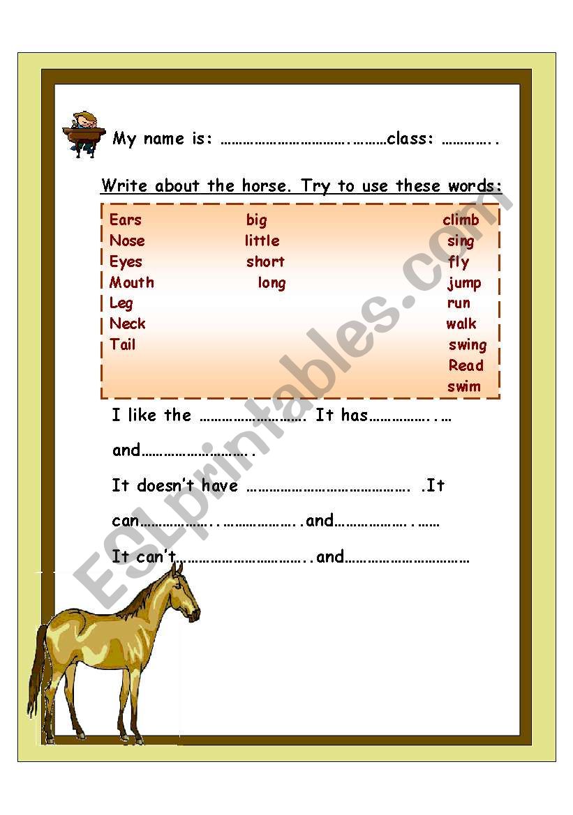 write a small paragraph about the horse