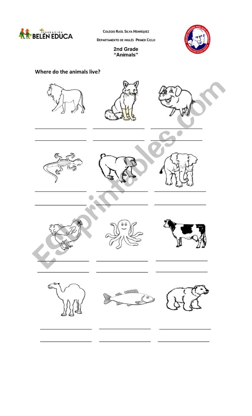 animals habitat worksheet