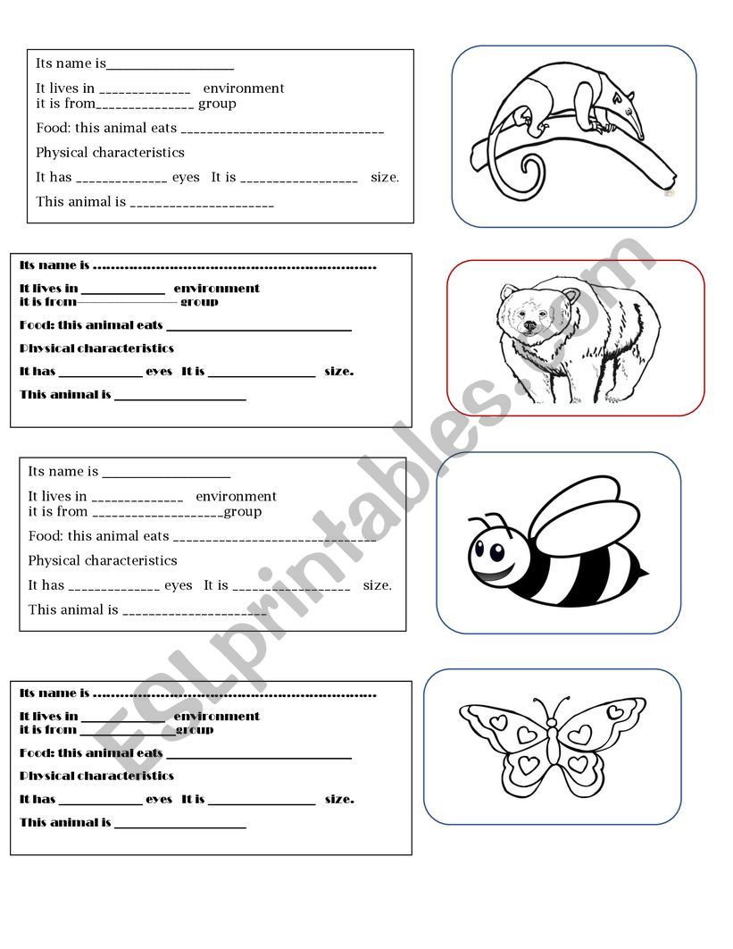 ANIMAL CLASSWORK  worksheet