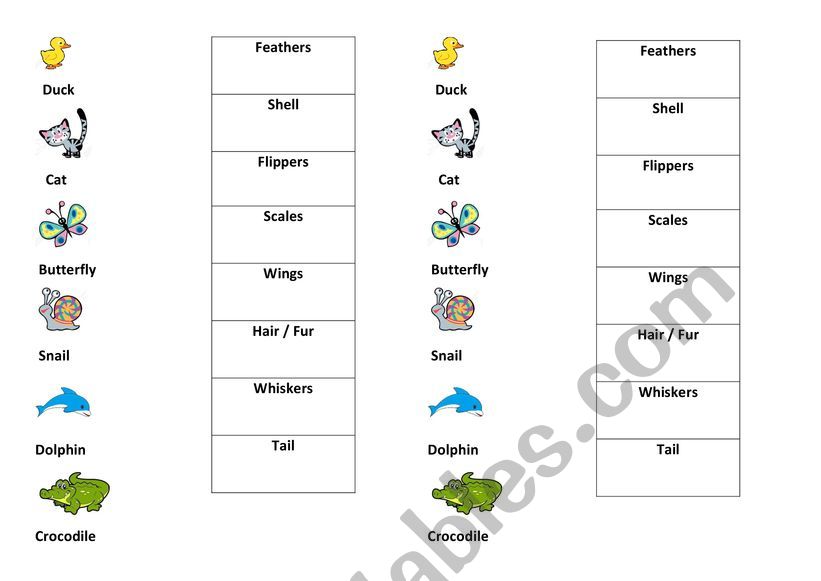 Parts of the animals worksheet