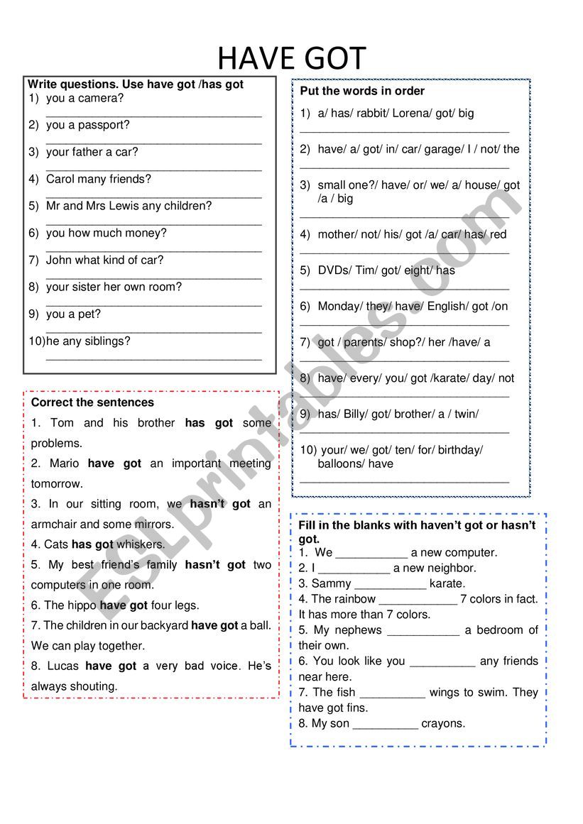 HAVE GOT exercise worksheet