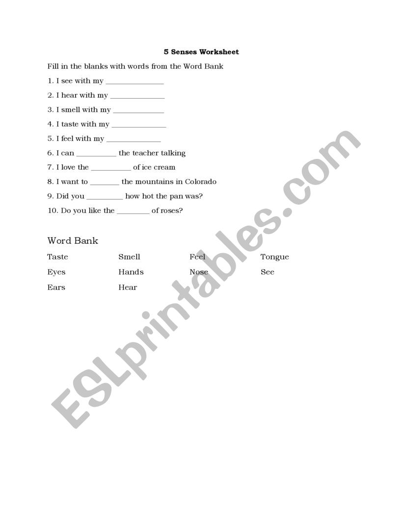 5 Senses Worksheet worksheet