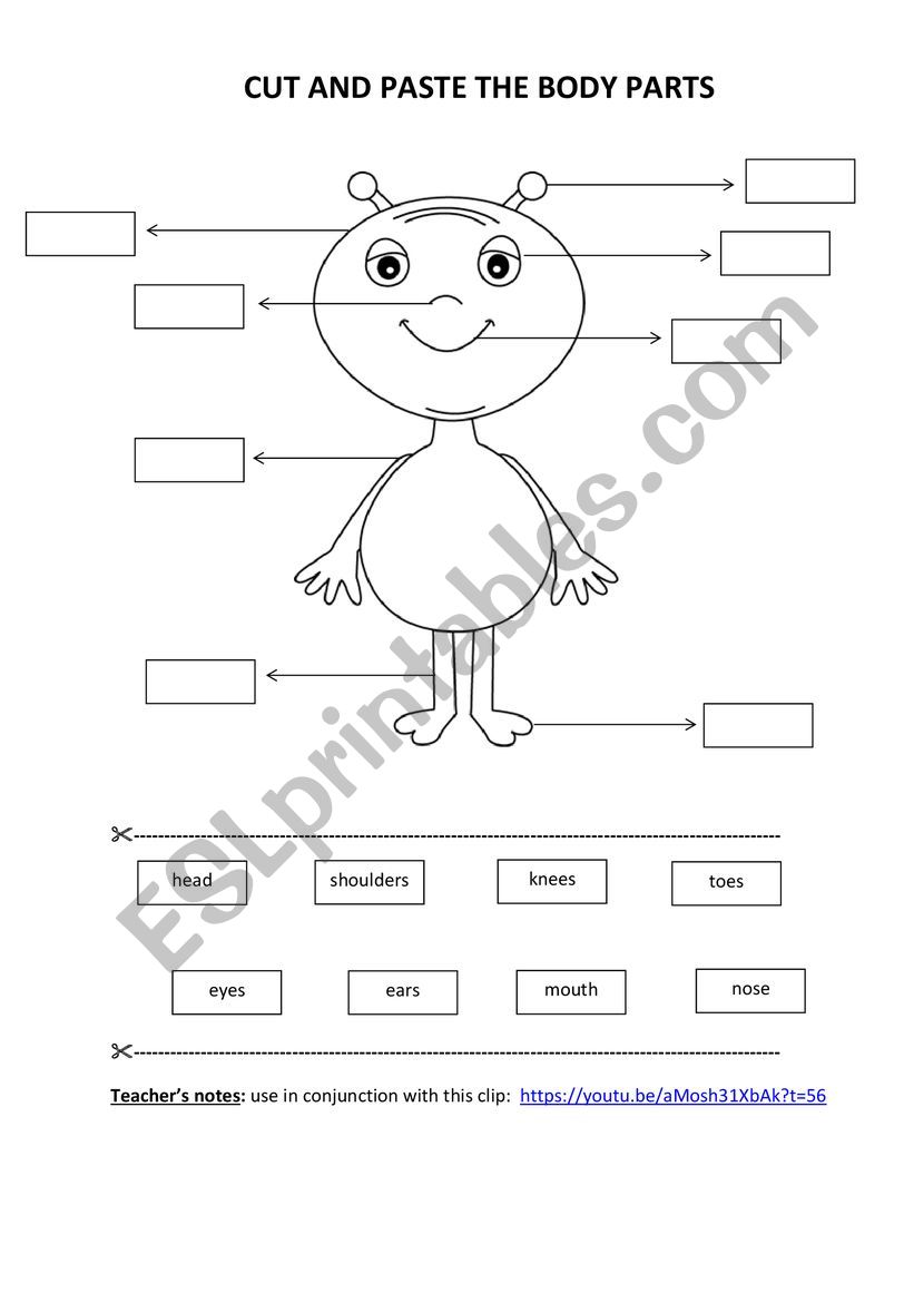 Body Parts - Cut & Paste worksheet