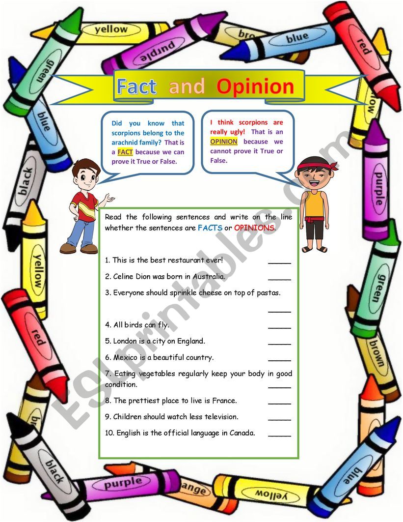 FACT AND OPINION worksheet