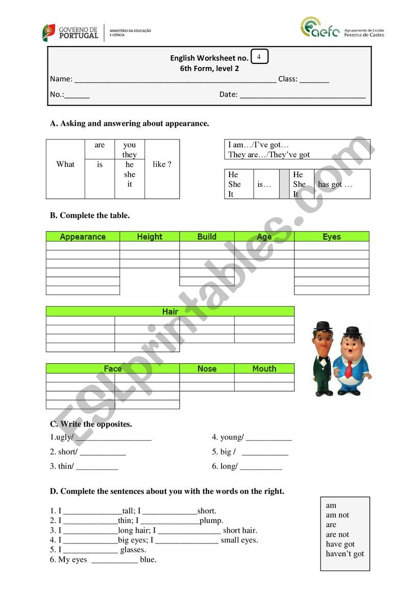 worksheet appearance worksheet